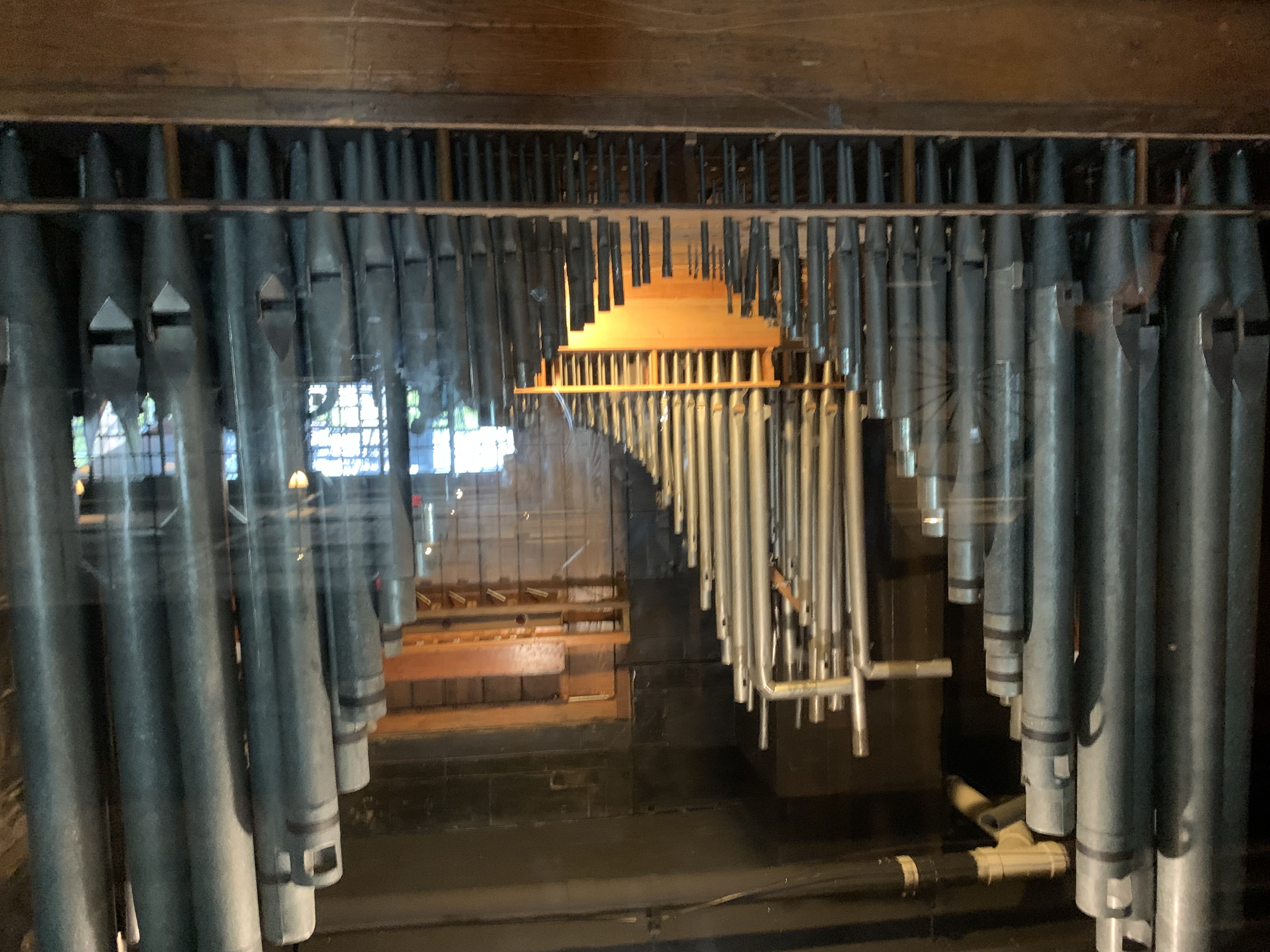 ./2022/06 - St Louis/03 - Day 3/20220523-12163176.JPG